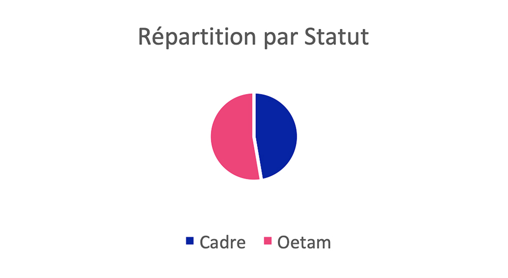 Repartition:statut_ok